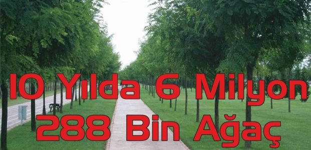 10 Yılda 6 Milyon 288 Bin Ağaç