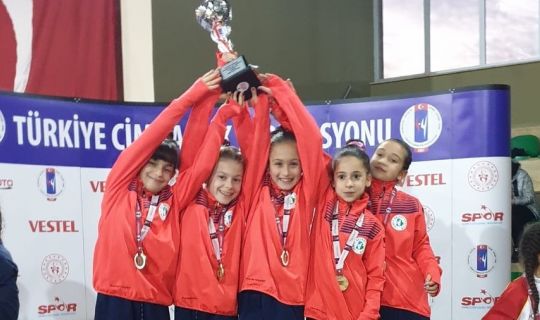 İzmitli cimnastikçiler, Türkiye Şampiyonu oldu