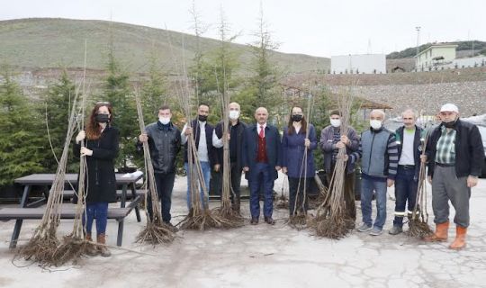 Körfezli çiftçilere 4 bin ceviz ve kiraz fidanı