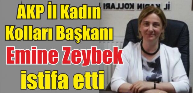  Emine Zeybek istifa etti