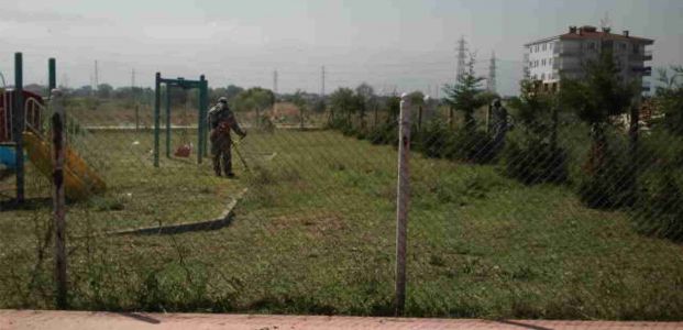 Köseköy Park ve Refüjlerinde Yabani Ot Temizliği