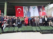 İzmit Belediyesinden, çiftçiye 2 milyonluk fide desteği