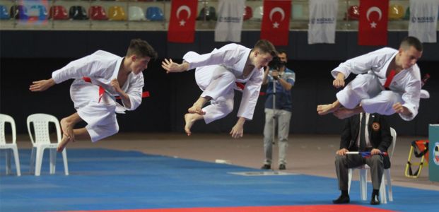 14. Uluslararası Karate Şampiyonasını Türkiye zirvede bitirdi