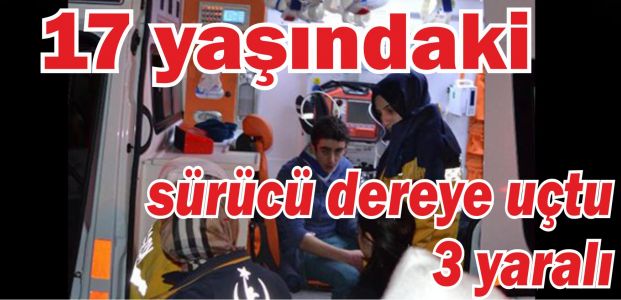 17 yaşındaki sürücü dereye uçtu: 3 yaralı