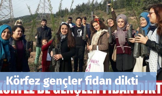 Körfez gençler fidan dikti