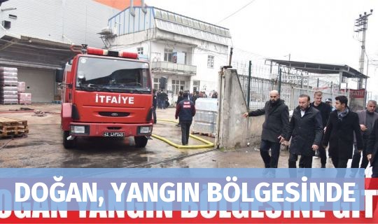 DOĞAN, YANGIN BÖLGESİNDE