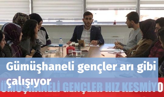 Gümüşhaneli gençler hizmette hız kesmiyor