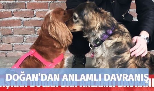 DOĞAN’DAN ANLAMLI DAVRANIŞ