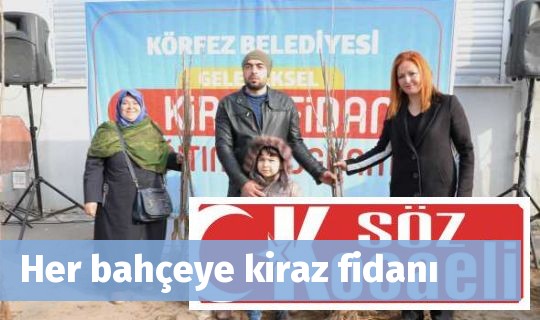 Her bahçeye kiraz fidanı