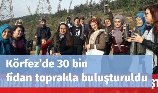 Körfez’de 30 bin fidan toprakla buluşturuldu