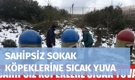 SAHİPSİZ SOKAK KÖPEKLERİNE SICAK YUVA