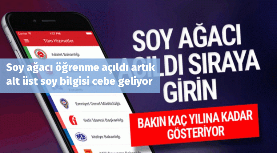 Soy ağacı öğrenme açıldı artık alt üst soy bilgisi cebe geliyor