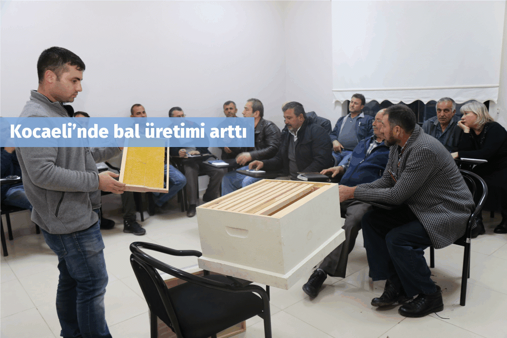 Kocaeli’nde bal üretimi arttı