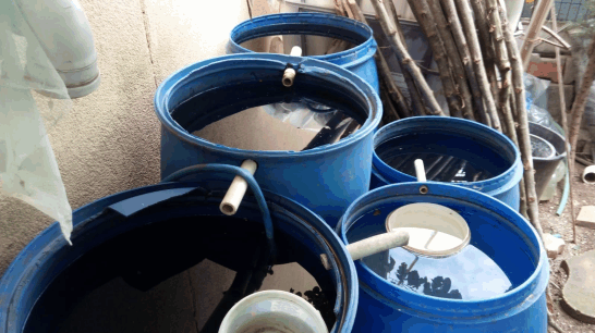 Sivrisinekle mücadelede günlük  bin bidon su boşaltılıyor