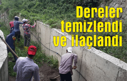 Dereler temizlendi ve ilaçlandı