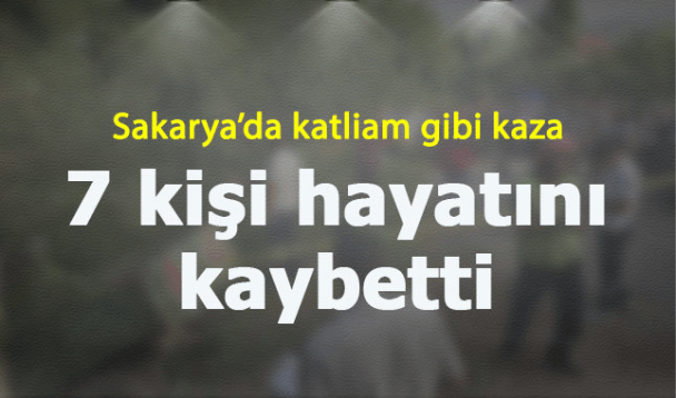 Sakarya'da katliam gibi kaza