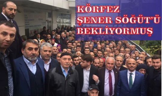 Söğüt sabaha kadar arandı