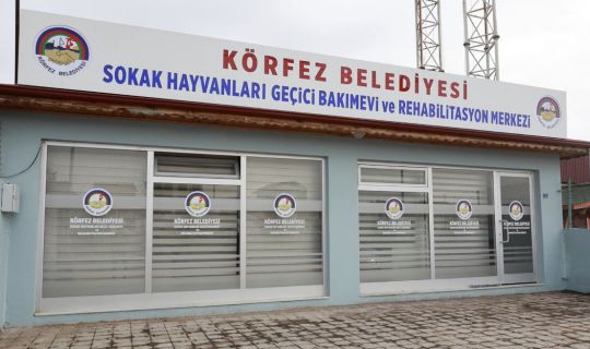 Sokak Hayvanları’nın Dostu  ‘Körfez Belediyesi’