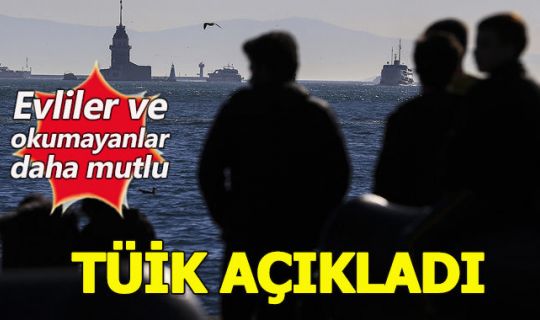 TÜİK 'Yaşam Memnuniyeti Araştırması': Evliler ve okumayanlar daha mutlu