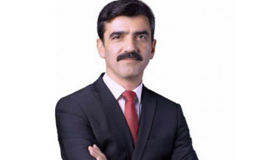 Adnan Pala, Başkan Yardımcısı