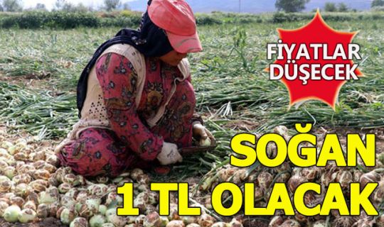 Soğan 1 TL. olacak