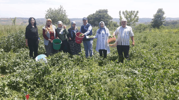 Büyükşehir’den çiftçilere her alanda destek