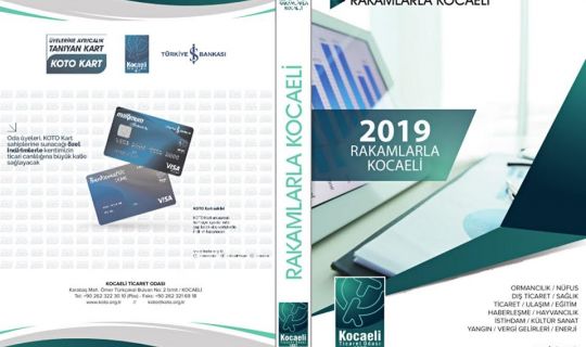 Rakamlarla Kocaeli 2019 yayımlandı