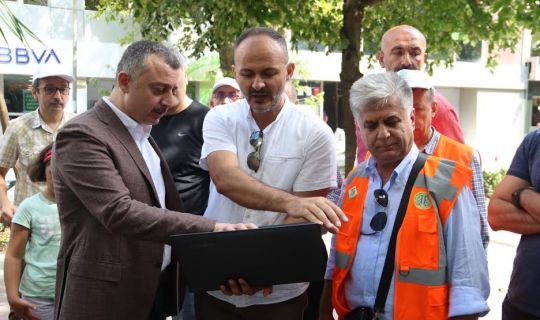 Asırlık çınarların, röntgeni çekiliyor
