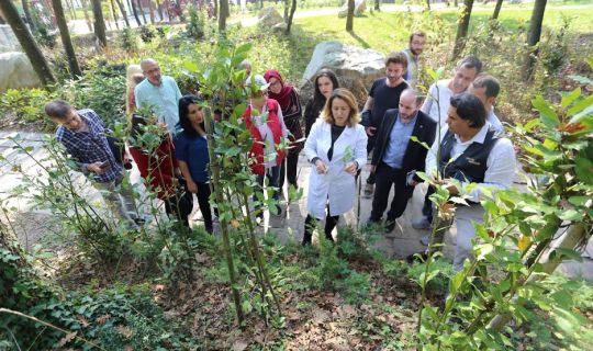 KO-MEK’ten, Tıbbi Aromatik Bitki Yetiştiriciliğine tam destek,