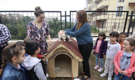 Onların da okullarda sıcak bir yuvası oldu