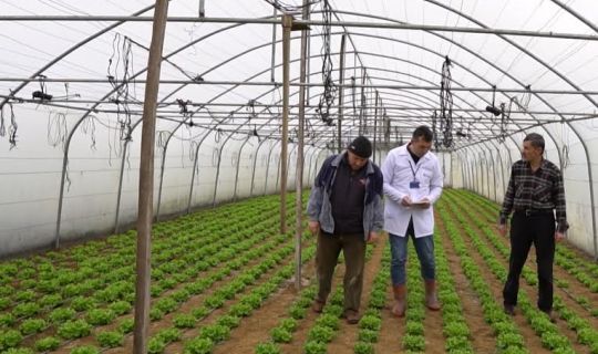 Büyükşehir’den çiftçilere yüzde 50 hibeli sera desteği