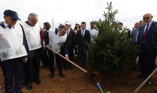 Kocaeli’de yeşil alan 23 milyon metrekareyi aştı