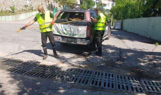 İzmit’in tüm mahallelerinde sivrisinek ilaçlamasının ilk turu tamamlandı