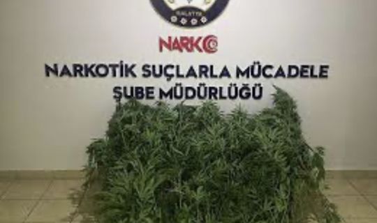 Narkotik Suçlarla Mücadeleye Devam