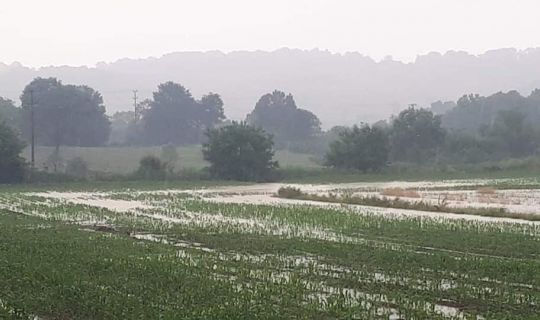 Büyükşehir’den dolu ve sel felaketi yaşanan noktalara inceleme