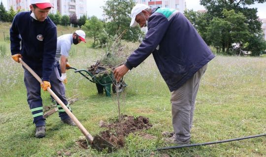 Körfez’de 750 fidan toprakla buluştu