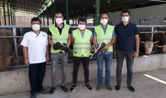 İzmit Belediyesinin Boğa Yakalama Timi bayrama hazır