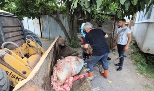 Başiskele’de Kurban Atıkları Anında Toplanıyor