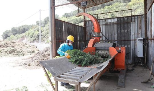 Körfez’de, 248 ton bitkisel atık, gübreye dönüştürüldü