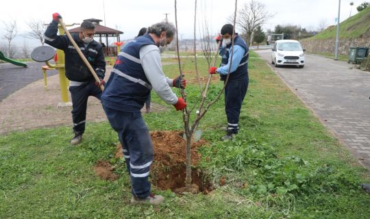 İzmit’te çocuklar meyveyi dalından yiyecek