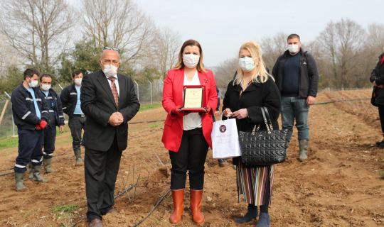 Süper meyve aronya İzmit’e şifa dağıtacak