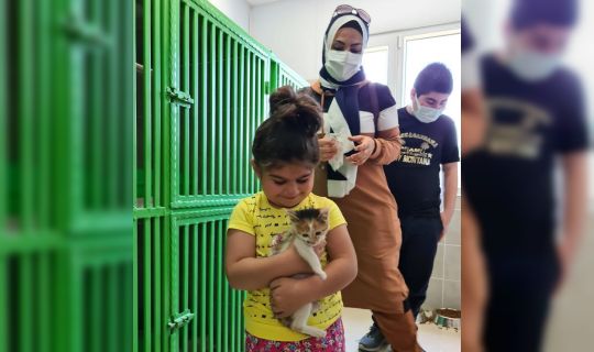 Körfez’de ‘minik patiler’ için tam destek