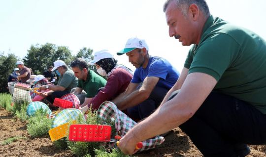 Kooperatif ve birliklere yüzde 75 hibe desteği   
