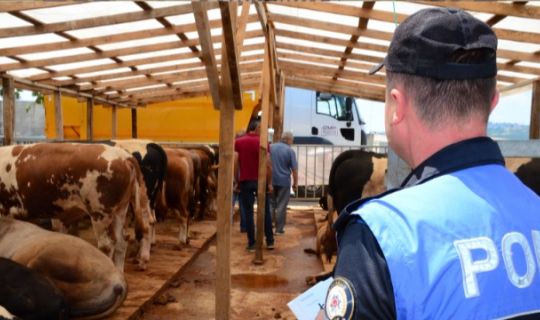 Sahtecilik, Dolandırıcılık, Hayvana eziyet konusunda bilgilendirme broşürleri dağıttı