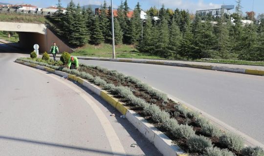 Körfez’de atıklar yeşile dönüşüyor Körfez’de atıklar yeşile dönüşüyor