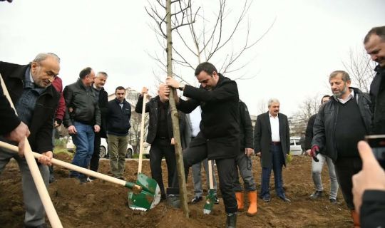 “Bir Ağaç Yetiştirmek, Bir İnsan Yetiştirmek Kadar Önemli”