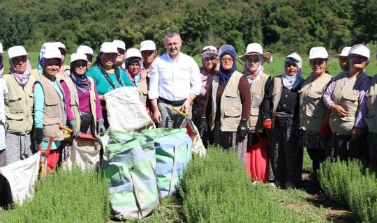 Büyükşehir’den kooperatiflere yüzde 75 hibeli tarım desteği