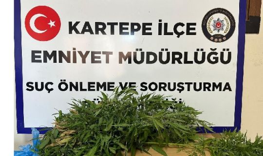 Uyuşturucu Maddelerin Murakabesi