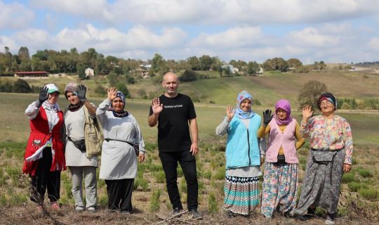 Tıbbi ve aromatik bitkilerin hasadı başladı