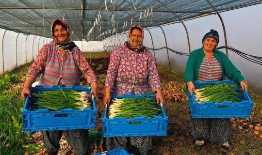 Tarımsal destekler, 2023’te çiftçinin yüzünü güldürdü;